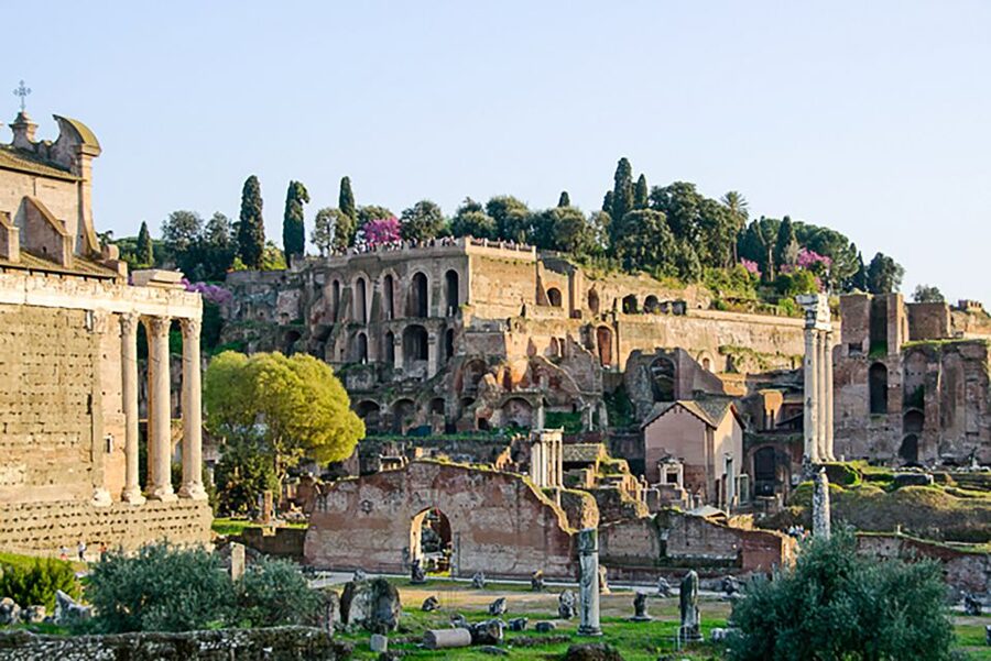 Rome: Guided Tour of Colosseum, Roman Forum & Palatine Hill - Key things that make this tour worth your time