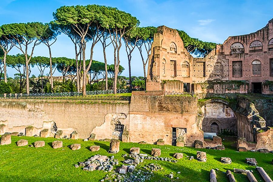 Rome: Guided Tour of Colosseum, Roman Forum & Palatine Hill - Who this tour is best for