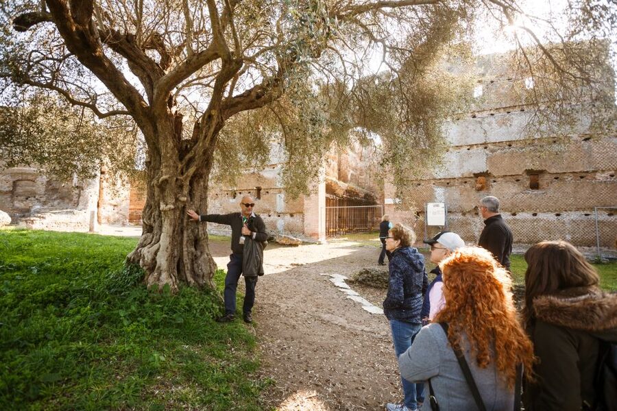 Rome: Hadrian's Villa and Villa d'Este Half-Day Tour - Key Things I’d Plan Around