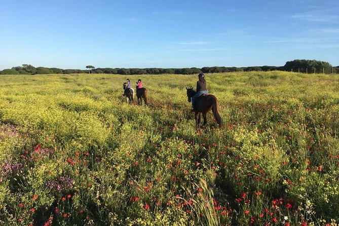 Rome: Horseback Riding on the Beach with aperitif - Seacoast Riding: The Part You Came For