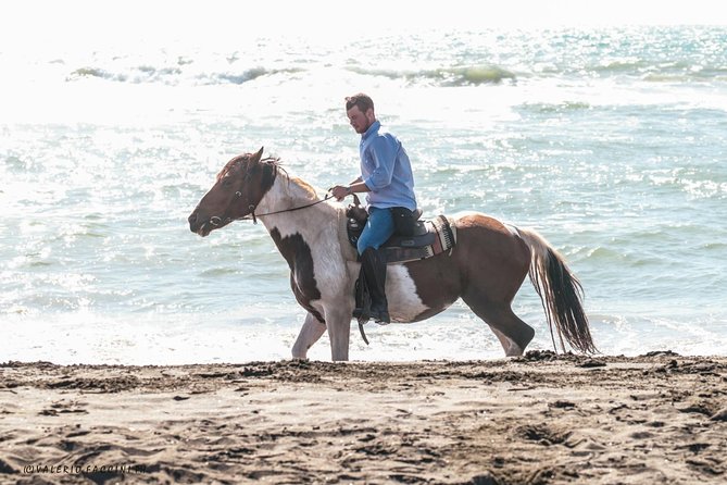 Rome: Horseback Riding on the Beach with aperitif - Pinewood Trail, Then a Break for Coffee or Lunch