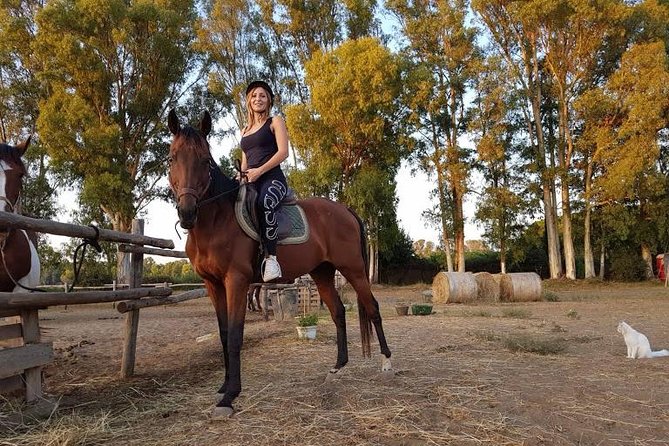 Rome : Horseback Riding with meals and wine included - Meals and wine: Italian delicatessen at lunch and Roman cuisine at dinner
