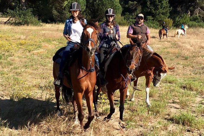 Rome : Horseback Riding with meals and wine included - Price and value: why $165.06 can make sense
