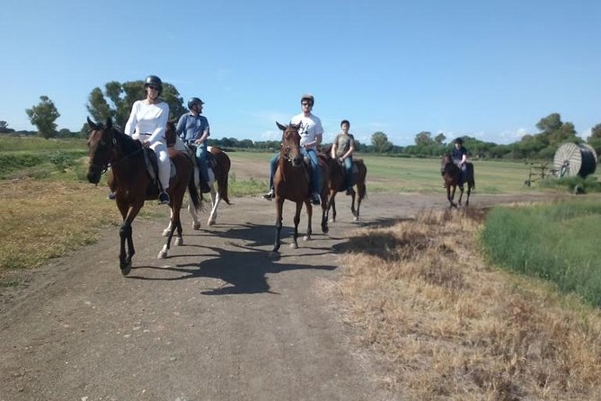 Rome : Horseback Riding with meals and wine included - The ride route: nature reserve views plus ancient-port ruins