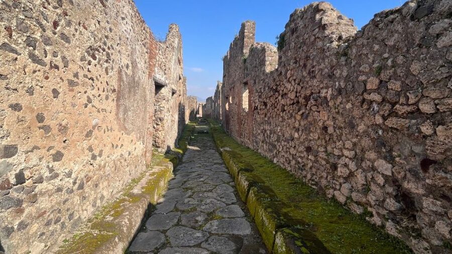 Rome: Pompeii Tour with Wine and Lunch by High Speed Train - Comfort, group movement, and what to pack