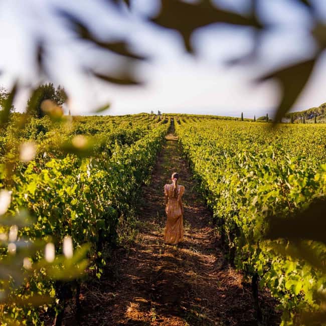 Rome: Private Castelli Romani Wine Tasting Tour - Antico Casale: the winery tour that makes the wine taste better