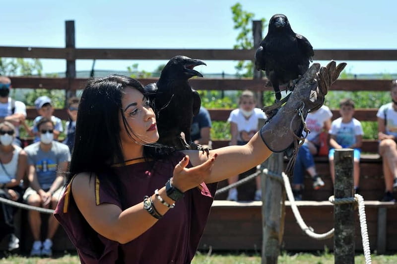 Rome: Roma World, the park to live a day as an Ancient Roman - Archery shooting experience and the Roman skills angle