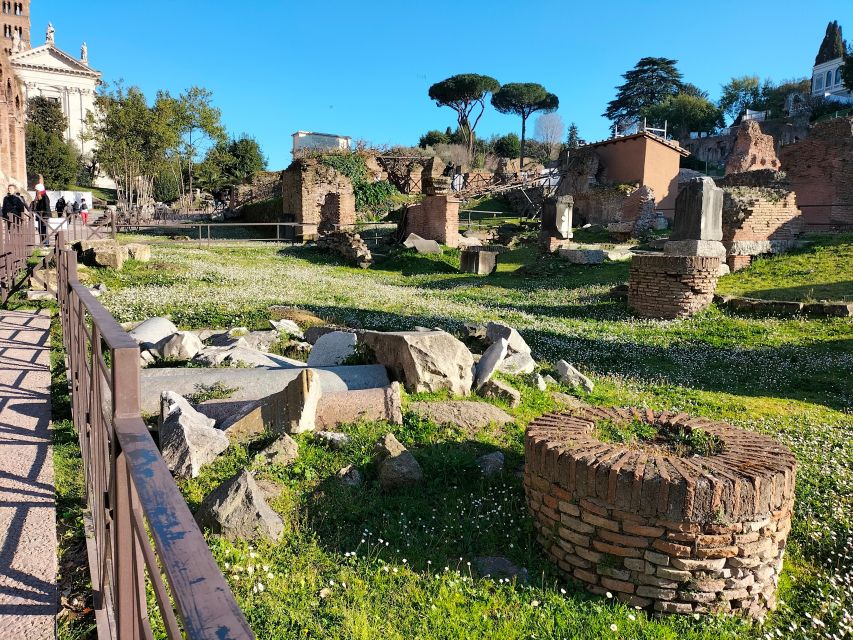 Rome: Roman Forum and Palatine Hill Licensed Guided Tour - Palatine Hill: imperial power, elite homes, and big Rome viewpoints