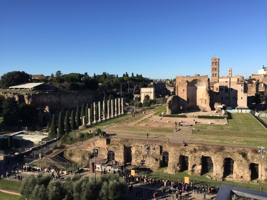 Rome: Roman Forum, Palatine, and Circus Maximus Tour - Palatine Hill: Romulus and Remus, Elite Rome, and the View Factor