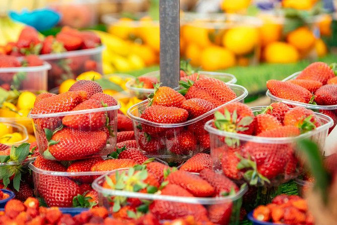 Rome's Best Street Food Private Tour with a Local - Timing, Heat, and Walking Comfort in Rome