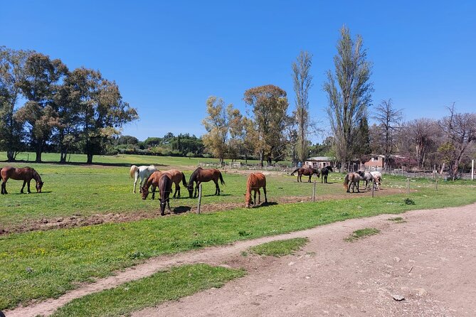 Rome's Ultimate Bike Tour - Parco della Caffarella and Torre Fiscale, where the story gets unexpected