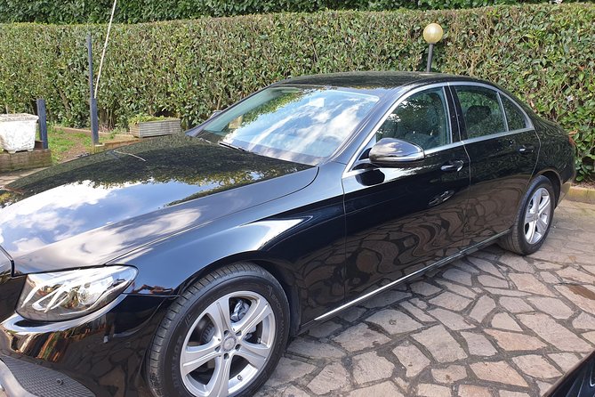 Rome Shore Excursion: Pre-Cruise Private Sightseeing Tour Including Civitavecchia Port Drop-Off - Who This Tour Is Best For (and Who Should Look Elsewhere)