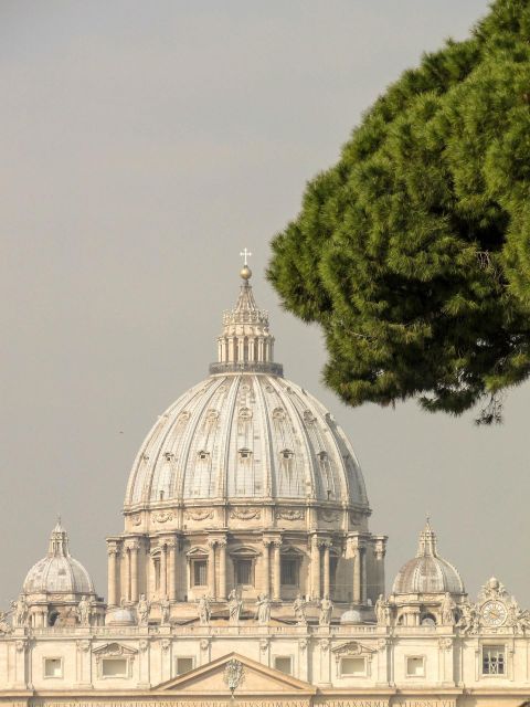 Rome: St. Peter's Basilica, papal tombs tour also with Dome - Meeting Outside Galleria San Pietro, Then Straight to Security