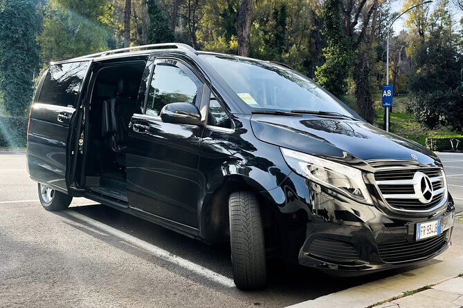 Rome to Fiumicino Airport (FCO) - Private Departure Transfer - Arrival at FCO: getting dropped at the right place