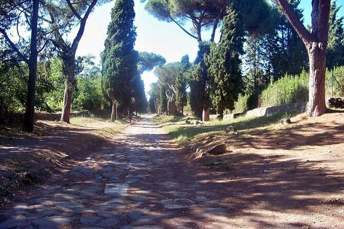 Rome: Two Days Private Chauffeured Tour + Admission Tickets - Two Days, One Air-Conditioned Minivan, No Guesswork