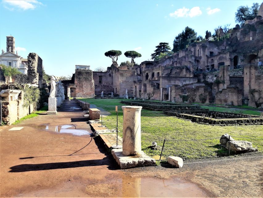 Rome: Vatican & Colosseum Experience with Lunch & Transfers - Getting Picked Up in Rome or at Civitavecchia Port