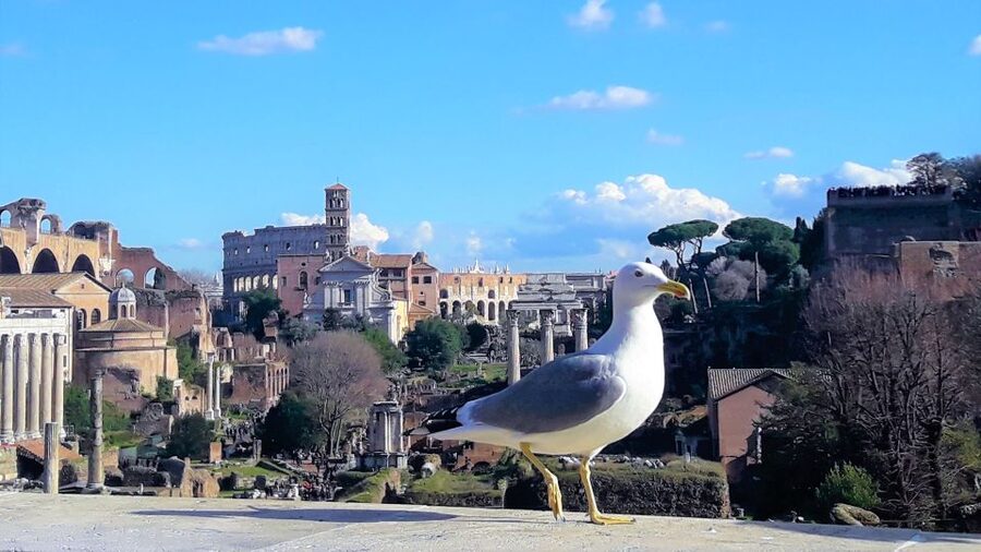 Rome: Vatican & Colosseum Experience with Lunch & Transfers - Sunday and Religious Holiday Changes, Still a Great Rome Day