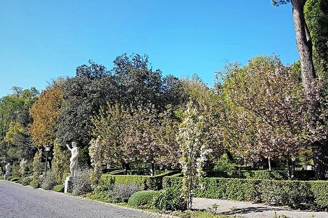 Rome: Vatican Museums and Gardens Private Tour - Pick up included - St. Peter’s Square: Bernini’s plan and the 284-column view
