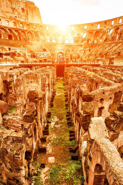 Rome: VIP Colosseum, Roman Forum, Palatine Hill Experience - Who this suits best, and who should choose something else