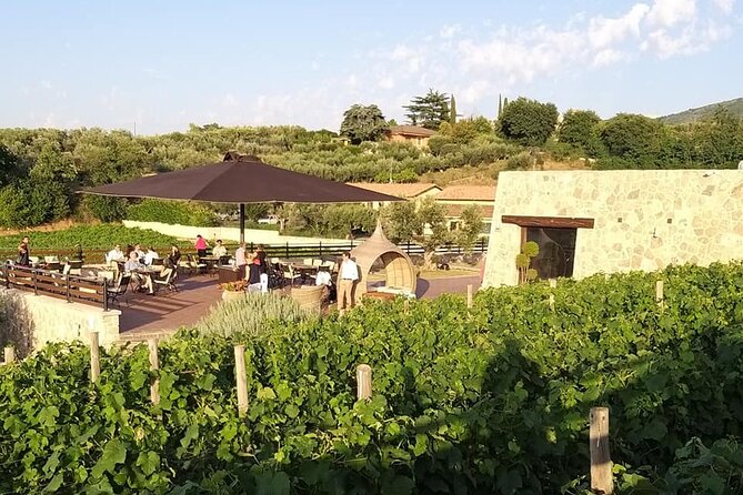 Small-Group Exclusive Winery and Wine Tasting Tour in Frascati - Key Highlights You Should Know