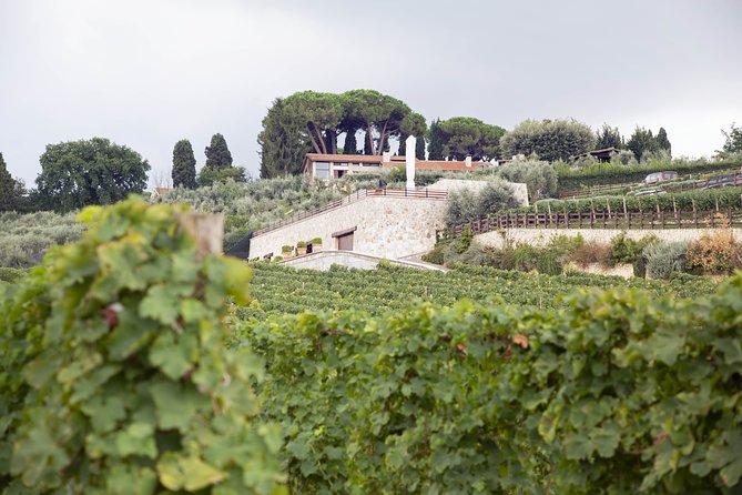 Small-Group Exclusive Winery and Wine Tasting Tour in Frascati - The Four-Wine Tasting: Reds, Whites, and Simple Pairing Sense