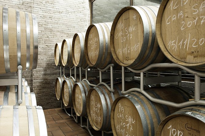 Small-Group Exclusive Winery and Wine Tasting Tour in Frascati - Timing and Logistics: The 11:00 am Start and Getting Back to Rome Comfortably