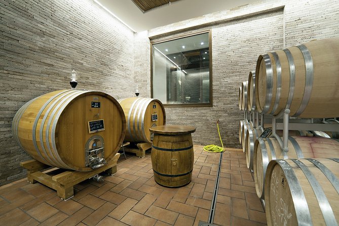 Small-Group Exclusive Winery and Wine Tasting Tour in Frascati - What the Winery Tour Teaches You (Beyond the Tasting Room)