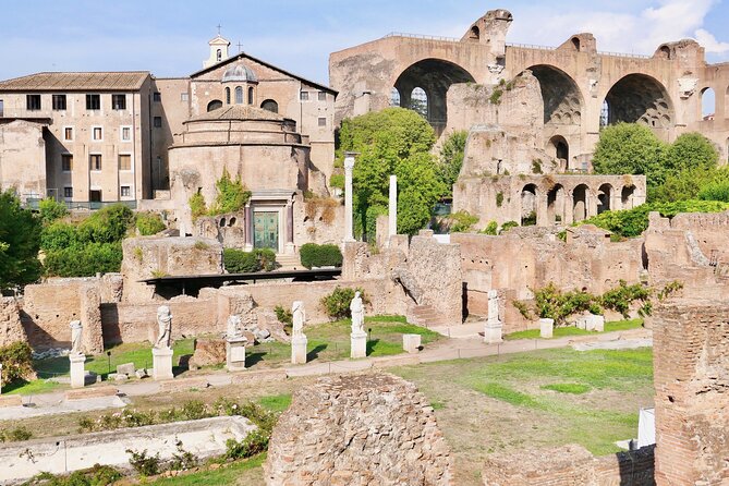 Small-Group Tour of Roman Forum & Palatine Hill - Stop 4: Basilica of Maxentius, the scale you feel in your bones