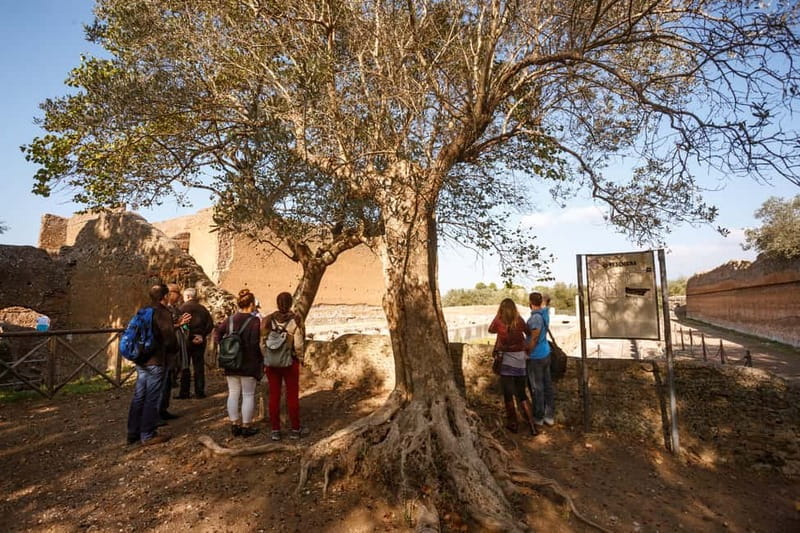 Tivoli: Entrance Ticket to Villa Adriana & App Audioguide - Villa Adriana in Tivoli: what this UNESCO ticket gets you