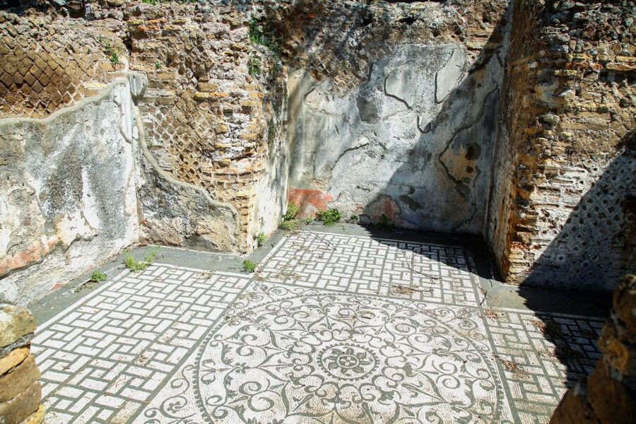 Tivoli: Hadrian's Villa and Villa d'Este Guided Tour - Hotel pickup, small-group van comfort, and what to bring
