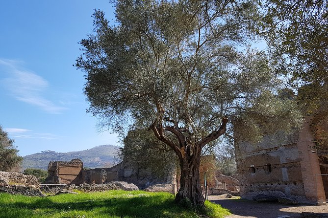 Tivoli Villas Full Day Trip From Rome with Lunch - Who this Tivoli trip is best for