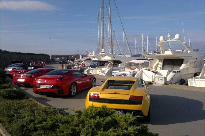 Transfer Civitavecchia Cruise Port>Rome/FCO/or Private Revers - Key points that matter before you go