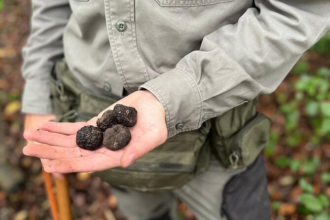Truffle Hunting, Lunch & Cooking Class in Rome's Countryside - Truffle Hunting in Riano: The Countryside Part That Matters