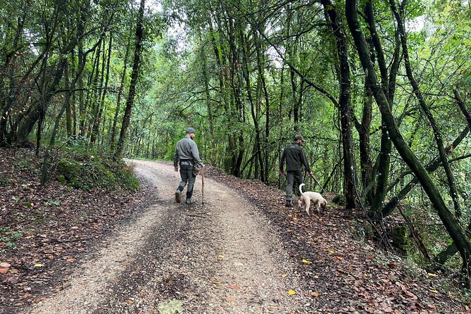 Truffle Hunting, Lunch & Cooking Class in Rome's Countryside - From Hunt to Kitchen: Pasta and Tiramisù in Nature