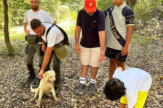 Truffle Hunting, Lunch & Cooking Class in Rome's Countryside - Price, Group Size, and What You’re Really Paying For