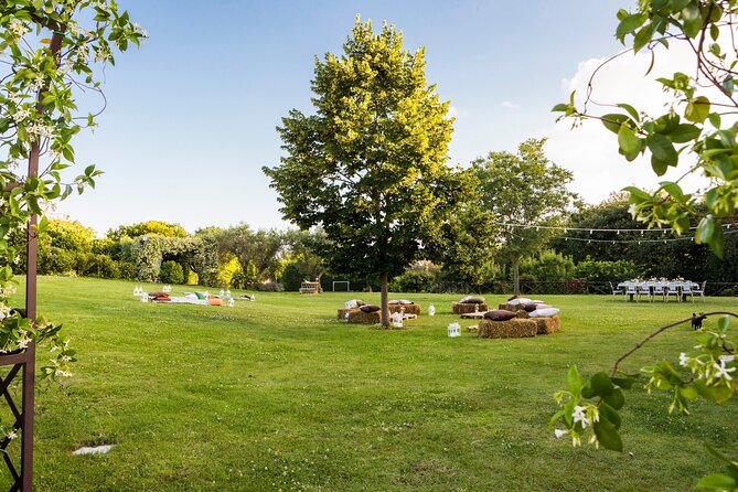 Truffle Hunting, Lunch & Cooking Class in Rome's Countryside - Practical Stuff to Pack (Shoes, Weather, and Energy)