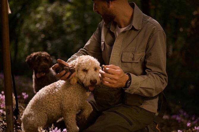 Truffle Hunting, Lunch & Cooking Class in Rome's Countryside - The 10:00 AM Pickup at Ottaviano Metro, Then the 6-Hour Flow