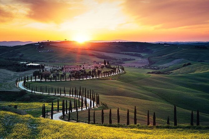 Tuscany Countryside including Wine Tasting & Lunch - Private Day Trip from Rome - Siena: what you should do with your free time