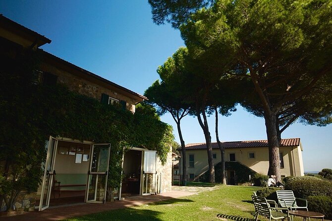 Tuscany & Pitigliano Day Tour from Rome with Wine Tasting & Lunch - Tenuta il Quinto: organic wines, cheese, and prosciutto