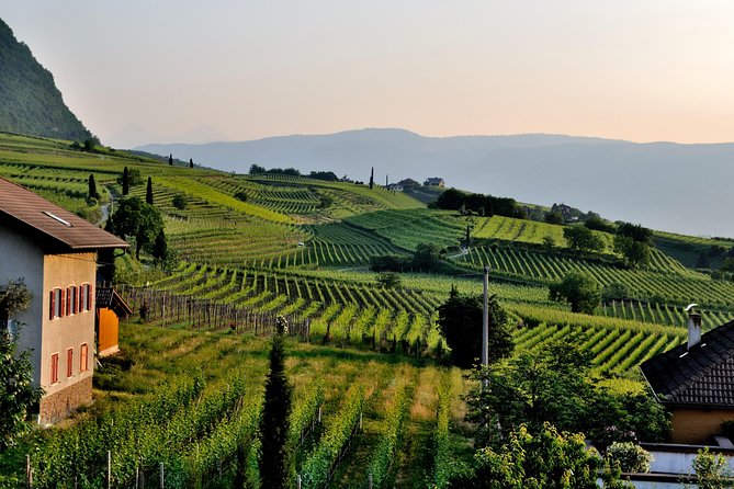 Tuscany Wine Tour from Rome with Private Driver - Private Driver, Real Flexibility, and a Vehicle That Lets You Breathe