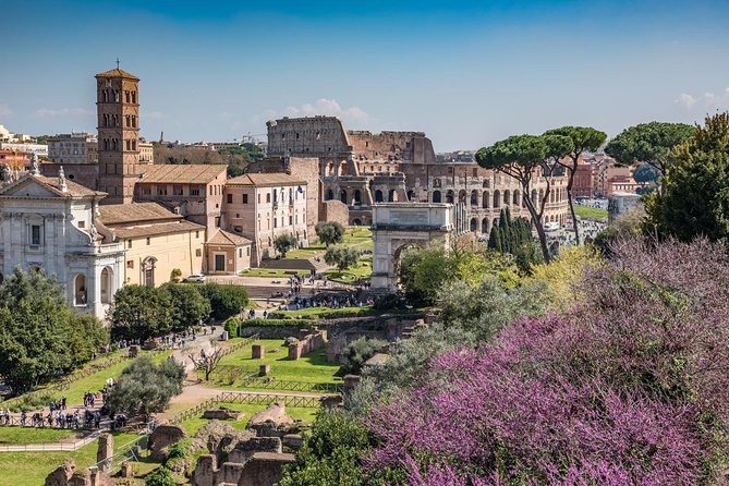 Ultimate Colosseum, Roman Forum & Palatine Hill Small Group Tour - What to Bring, and How to Avoid the Common Mistakes