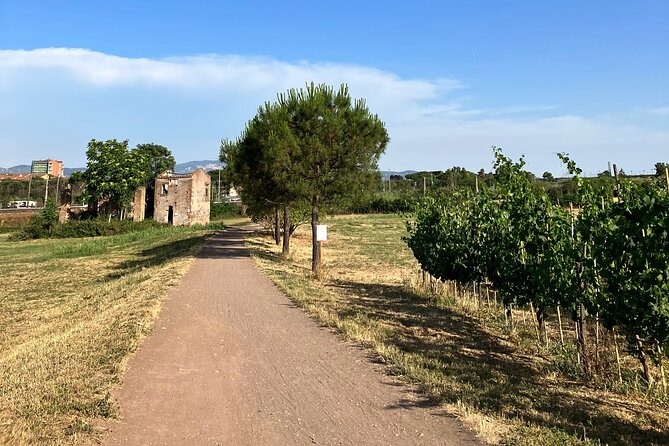 Urban Hike to the Aqueduct Park in Rome - Pigneto Morning Market Energy, Then Out Toward the First Aqueduct