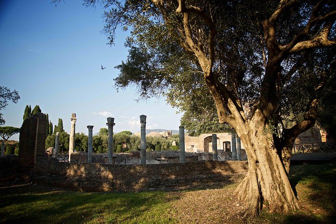 Villa Adriana and Villa d'Este Unique Photo Tour and Workshop - How the workshop coaching actually helps your photos