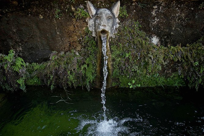 Villa Adriana and Villa d'Este Unique Photo Tour and Workshop - Who this tour suits best in Rome and Tivoli