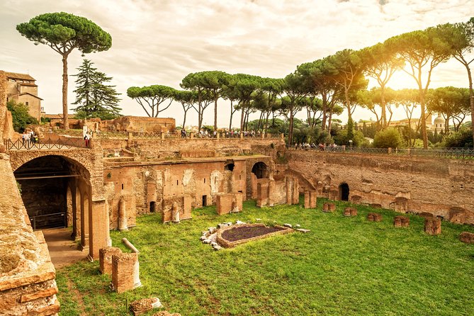 VIP Colosseum & Roman Forum Small Group Guided Tour - Price and value: what $77.43 buys you (and what it doesn’t)