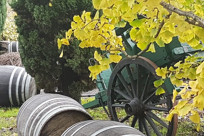 Wine Tasting in Frascati from Rome - Snacks and Pairings: Why the Food Makes the Wine Taste Better